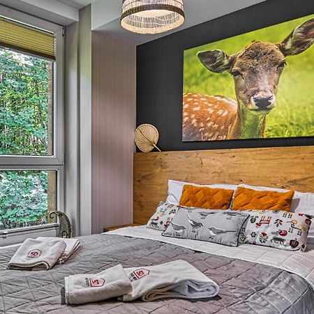 Apartament Spa 04 Resort Kozubnik Blisko Szczyrk - 5D Apartamenty Porąbka Eksteriør bilde